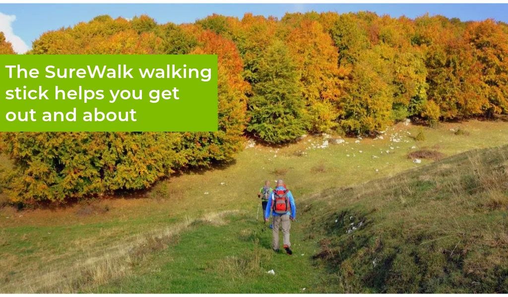 people walking in the hills with aid of sticks