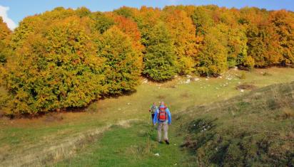 people walking in the hills with aid of sticks