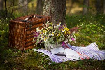 spring time picnic