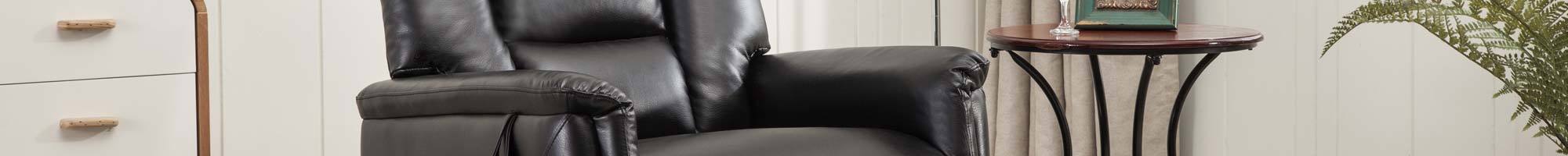 Single Motor Rise & Recliners Single Motor Rise & Recliners