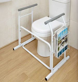 Toilet Safety Rail